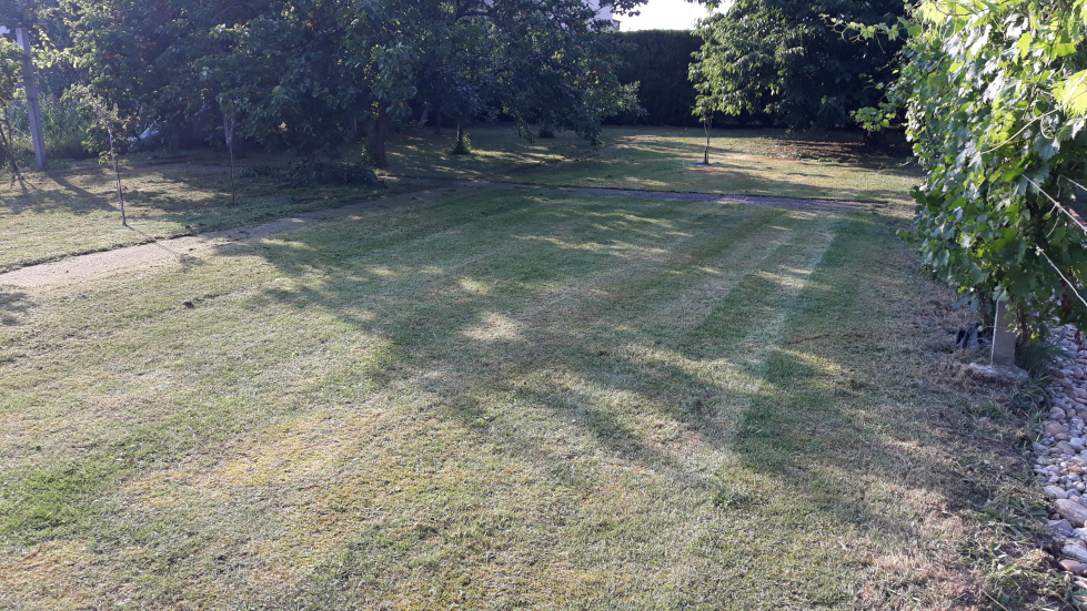 Podvečer na starostlivo pokosenej záhrade. Jasné svetlo slnka vytvára pod stromami príjemný tieň.