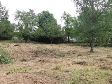 Pokosená záhrada, zbavená vysokej zeliny a náletových drevín.