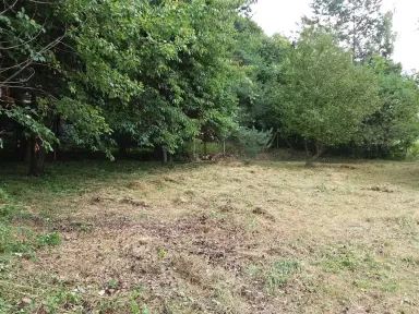 Horná časť záhrady. Pokosená. Vidno stromy aj plot od suseda. 