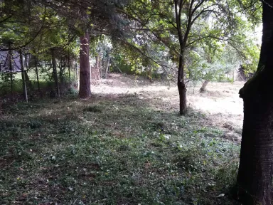 Horná časť záhrady poodstránení náletových drevín. 