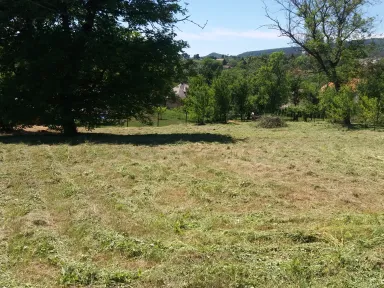 To čo predtým nevyzeralo ako záhrada sa po pokosení buriny ukázalo v plnej kráse. Zobrazenie pokosenej záhrady. V ľavo hore sa nachádza mohutný orech, ktorý vytvára príjemný tieň. V pravo hore sú ovocné stromky, ktoré boli skryté v burine. 