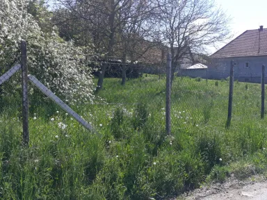 Pravá časť záhrady pred začiatkom kosenia.