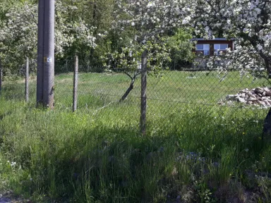 Ľavá časť záhrady pred začiatkom kosenia.