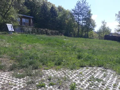 Centrálna časť záhrady pred kosením. Na záhrade je viditeľná pravidelná strarostlivosť. Porast, určený na kosenie, už nie je taký vysoký.