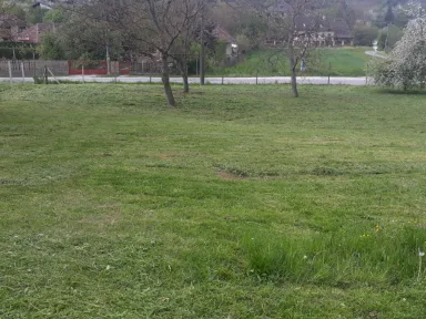 Pohľad z hornej časti záhrady. Väčšina porastu je už pokosená. 