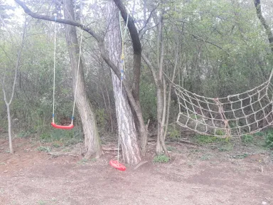 Detské ihrisko v zalesnenom poraste. Okolo hojdačiek sa nachádzajú náletové dreviny. 