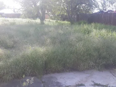 Zadná časť pozemku pred začiatkom prác. Na fotografii vidno vysokú zelinu, ktorá pokrýva celý pozemok.