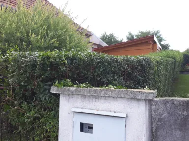 Záber od ulice na živý plot po jeho ostrihaní.