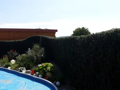 Stredná časť plota po ostrihaní. 