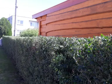 Pohľad na zostrihaný živý plot smerom do ulice.