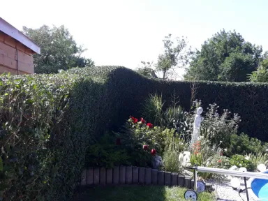 Centrálna časť dvora s ostrihaným plotom. 